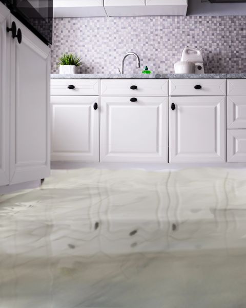 What Should Homeowners Do First After Water Damage Before Remodeling Begins?